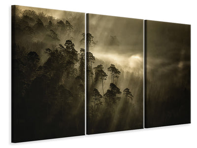 3-piece-canvas-print-streiflichter