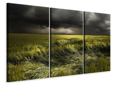 3-piece-canvas-print-summer-weather