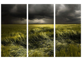 3-piece-canvas-print-summer-weather