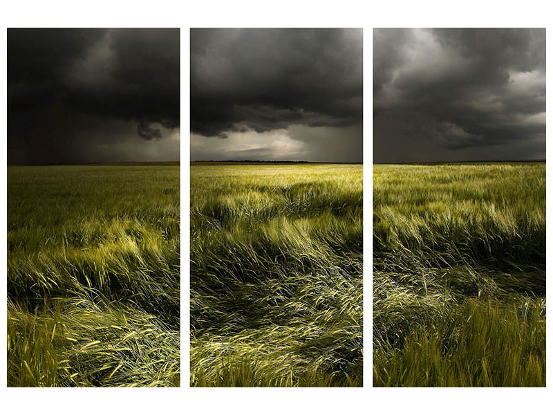 3-piece-canvas-print-summer-weather