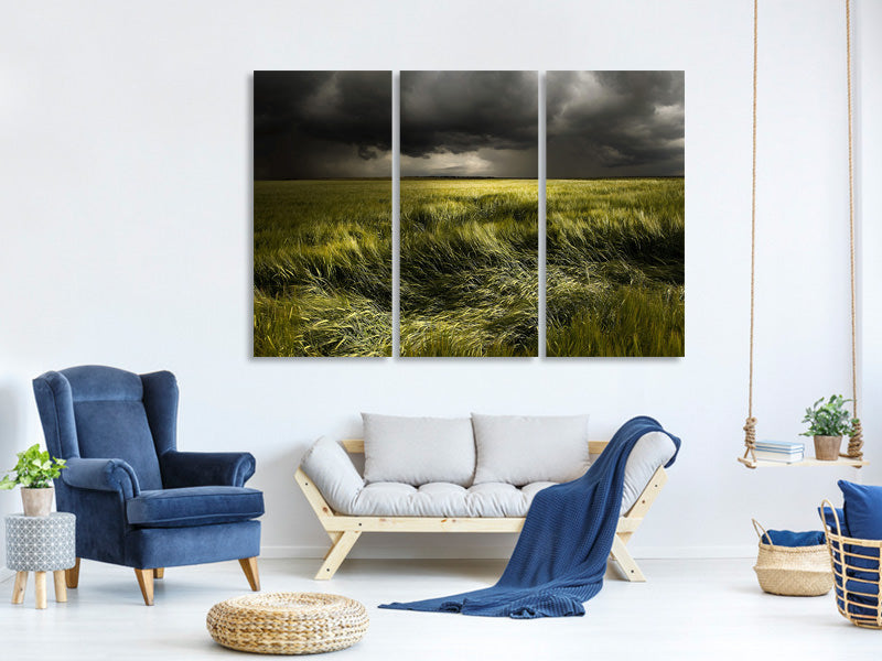 3-piece-canvas-print-summer-weather