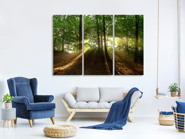 3-piece-canvas-print-sun-in-the-forest