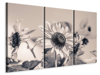 3-piece-canvas-print-sunflowers-sw