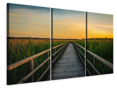 3-piece-canvas-print-sunset-in-the-fields