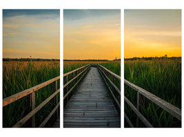 3-piece-canvas-print-sunset-in-the-fields