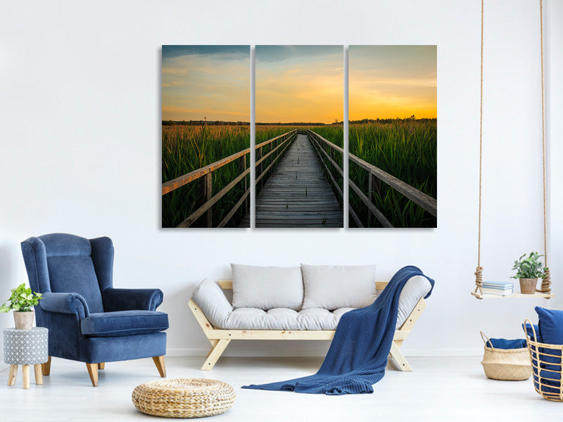 3-piece-canvas-print-sunset-in-the-fields