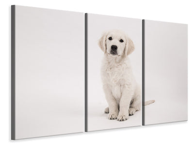 3-piece-canvas-print-sweet-golden-retriever-puppy