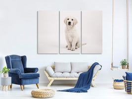 3-piece-canvas-print-sweet-golden-retriever-puppy