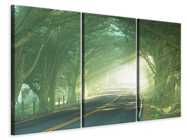 3-piece-canvas-print-the-avenue