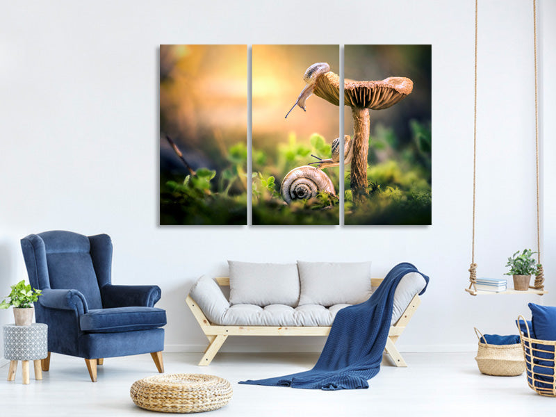 3-piece-canvas-print-the-awakening-of-snails