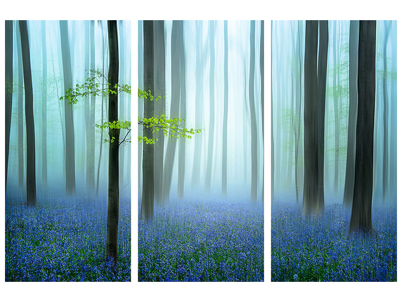 3-piece-canvas-print-the-blue-forest