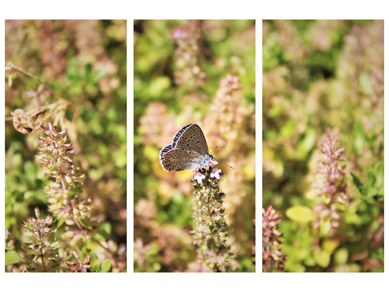 3-piece-canvas-print-the-blue