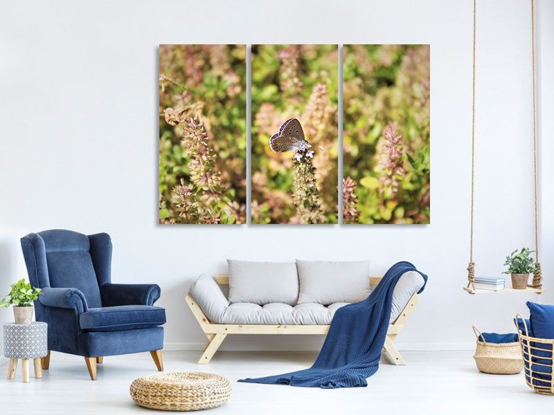 3-piece-canvas-print-the-blue