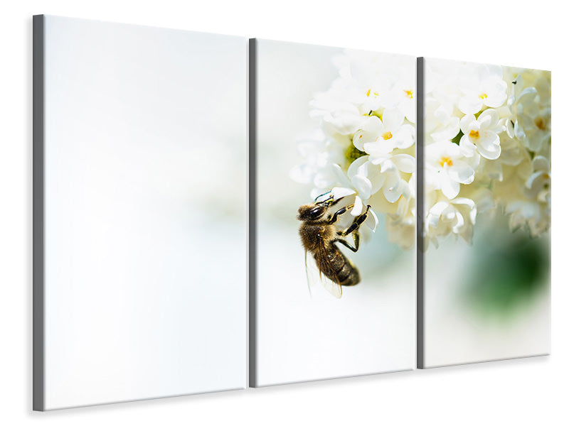 3-piece-canvas-print-the-bumblebee-and-the-flower