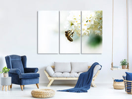 3-piece-canvas-print-the-bumblebee-and-the-flower