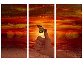 3-piece-canvas-print-the-butterfly-in-the-evening-light