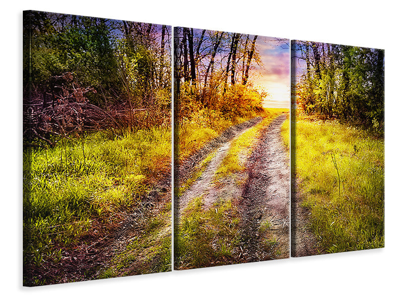 3-piece-canvas-print-the-forest-path