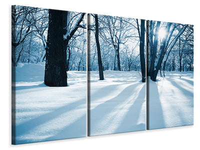 3-piece-canvas-print-the-forest-without-tracks-in-the-snow