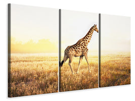 3-piece-canvas-print-the-giraffe