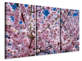 3-piece-canvas-print-the-japanese-cherry