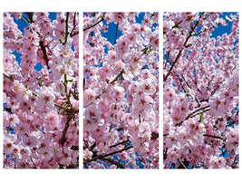 3-piece-canvas-print-the-japanese-cherry