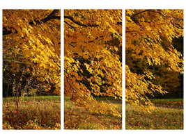 3-piece-canvas-print-the-magnificent-autumn-tree
