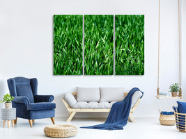 3-piece-canvas-print-the-meadow-in-xl