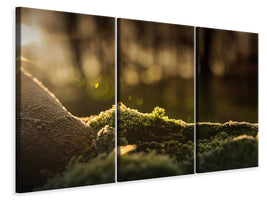 3-piece-canvas-print-the-moss