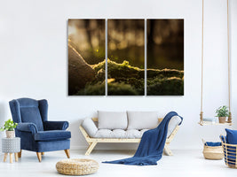 3-piece-canvas-print-the-moss