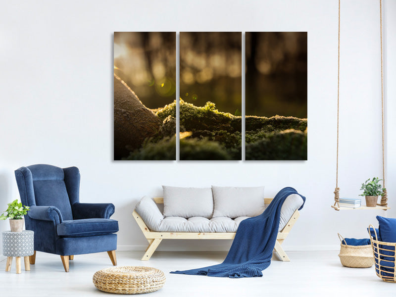 3-piece-canvas-print-the-moss