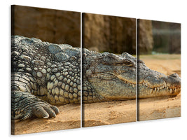 3-piece-canvas-print-the-nile-crocodile