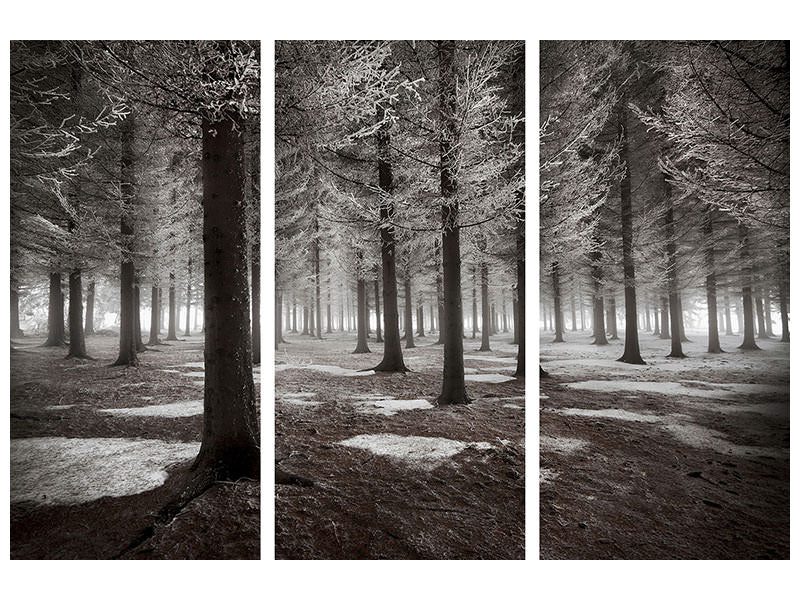 3-piece-canvas-print-the-onset-of-winter