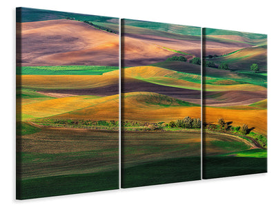 3-piece-canvas-print-the-palouse