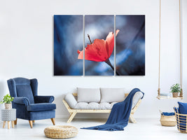 3-piece-canvas-print-the-poppy-master