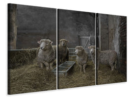 3-piece-canvas-print-the-residents