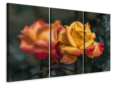 3-piece-canvas-print-the-rose-in-the-garden