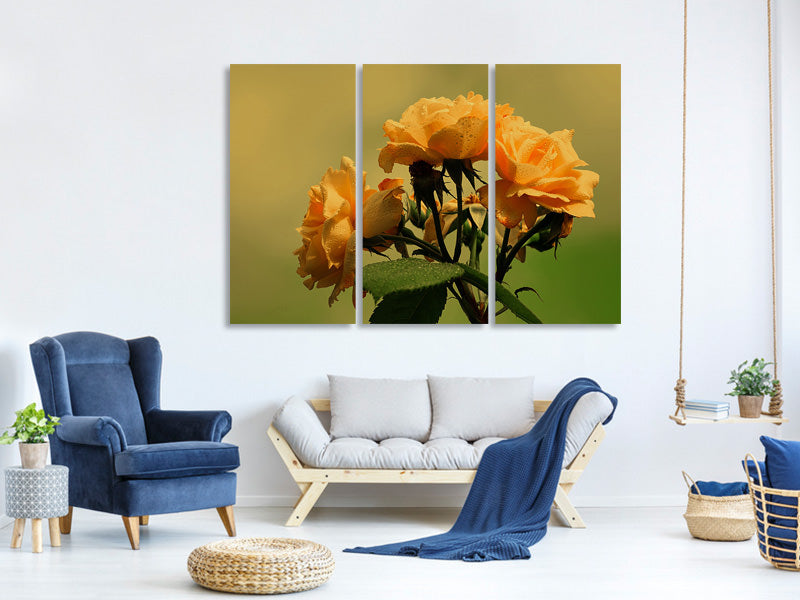 3-piece-canvas-print-the-roses-in-nature