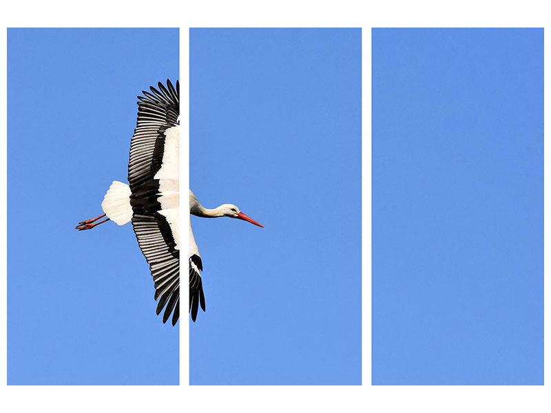 3-piece-canvas-print-the-stork-in-action