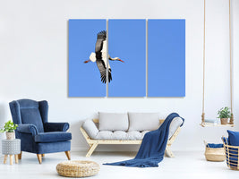 3-piece-canvas-print-the-stork-in-action