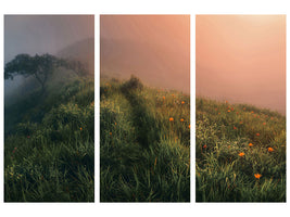 3-piece-canvas-print-the-story-of-the-foggy-morning