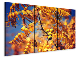 3-piece-canvas-print-the-walnut-xl