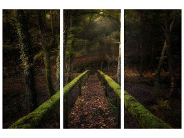 3-piece-canvas-print-the-way-to-the-forest