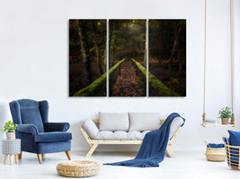 3-piece-canvas-print-the-way-to-the-forest