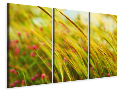 3-piece-canvas-print-the-wheat-field