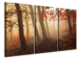 3-piece-canvas-print-towards-the-light