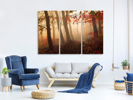 3-piece-canvas-print-towards-the-light