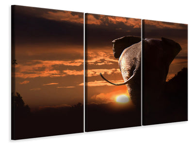 3-piece-canvas-print-towards-the-sunset