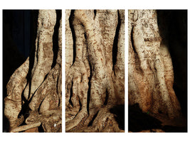 3-piece-canvas-print-tree-close-up