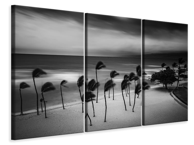 3-piece-canvas-print-tropical-storm