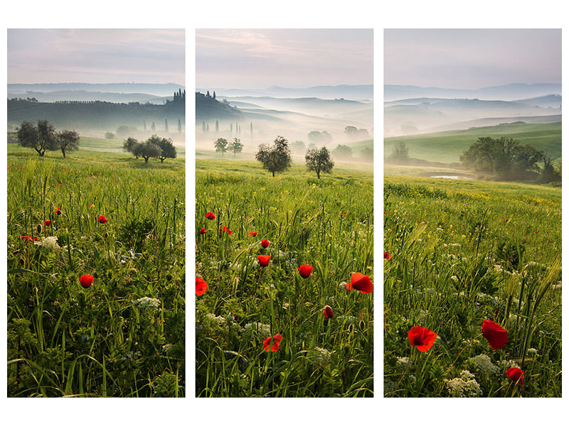 3-piece-canvas-print-tuscan-spring